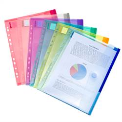 A4 perforated folders, 12 folders in assorted colors