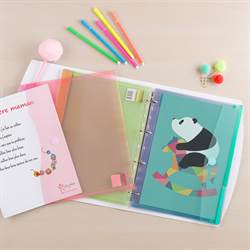 A4 perforated folders, 12 folders in assorted colors