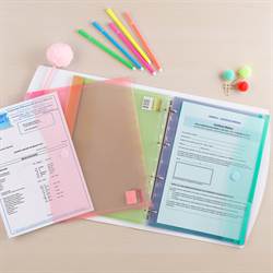 A4 perforated folders, 12 folders in assorted colors