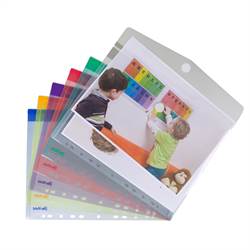 A4 perforated folders, 12 folders in assorted colors